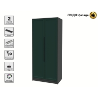 Шкаф распашной Тренд КТ-Ш2 (Антрацит ЛДСП/ Изумруд ЛМДФ) Ш918 В2128 Г547